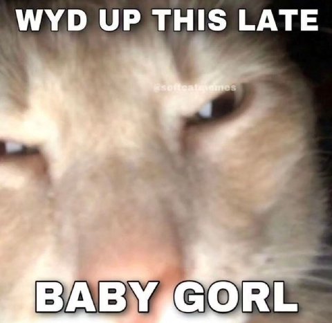 WYD UP THIS LATE