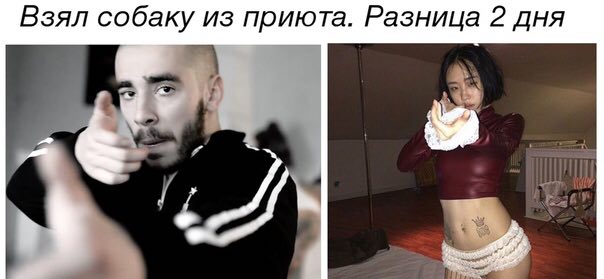 Взял собаку из приюта. Разница 2 дня