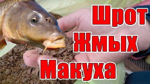 мак уха