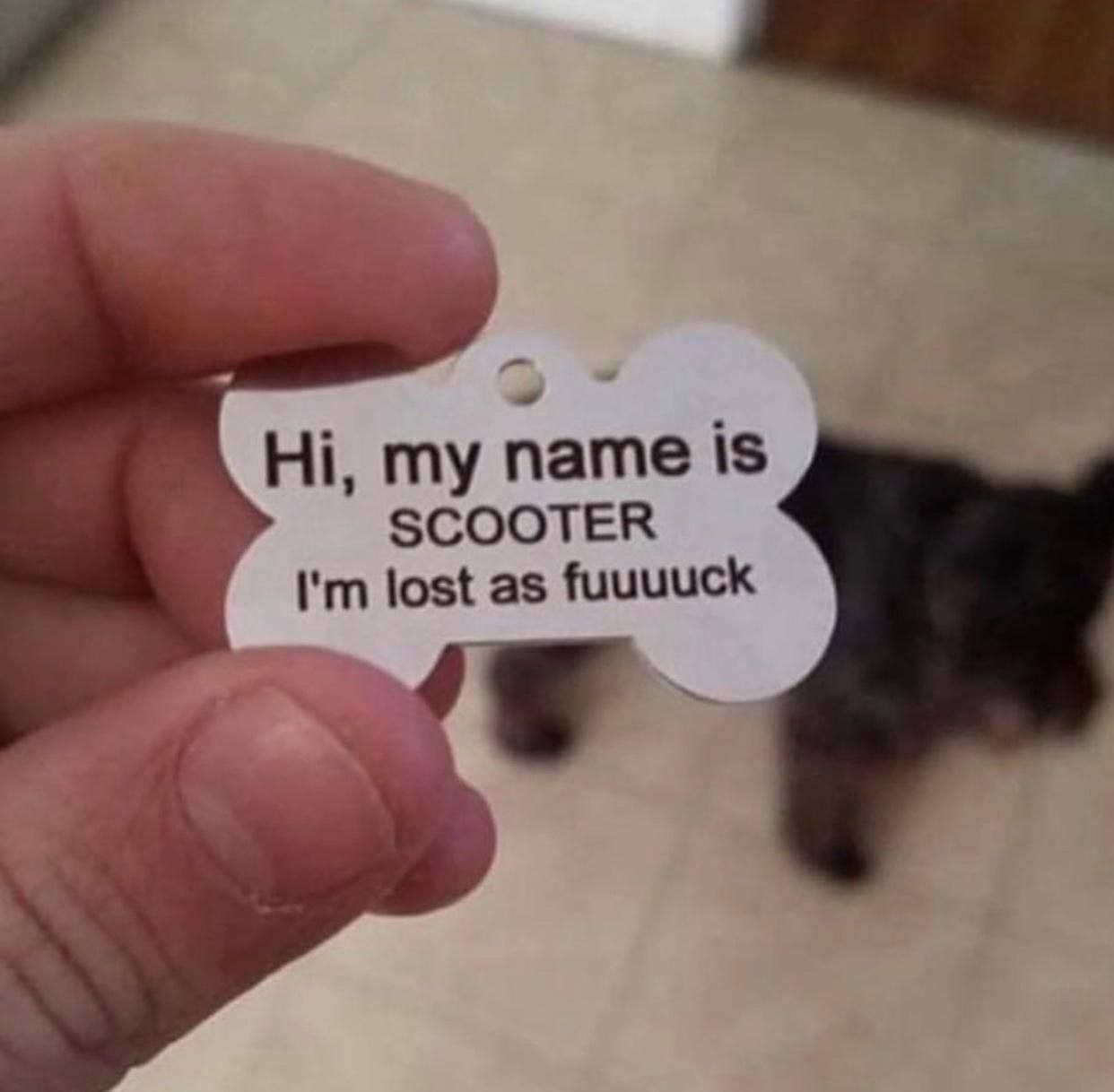 my name is SCOOTER lost as fuuuuck
