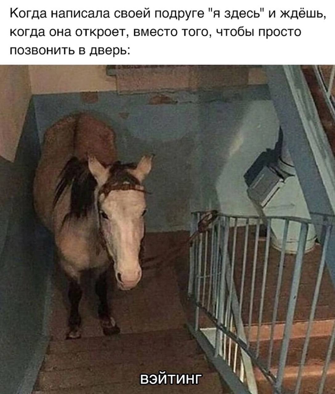Когда написала своей подруге "я здесь" и ждёшь, когда она откроет, вместо того, чтобы просто позвонить в дверь: