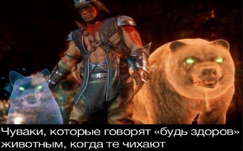 2 Чуваки, которые говорят «будь здоров» животным, когда чихают