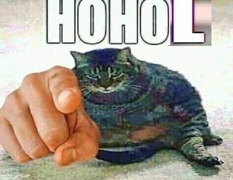 HOHOL