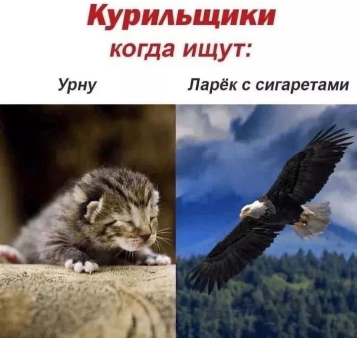 Курильщики когда ищут: Урну Ларёк с сигаретами