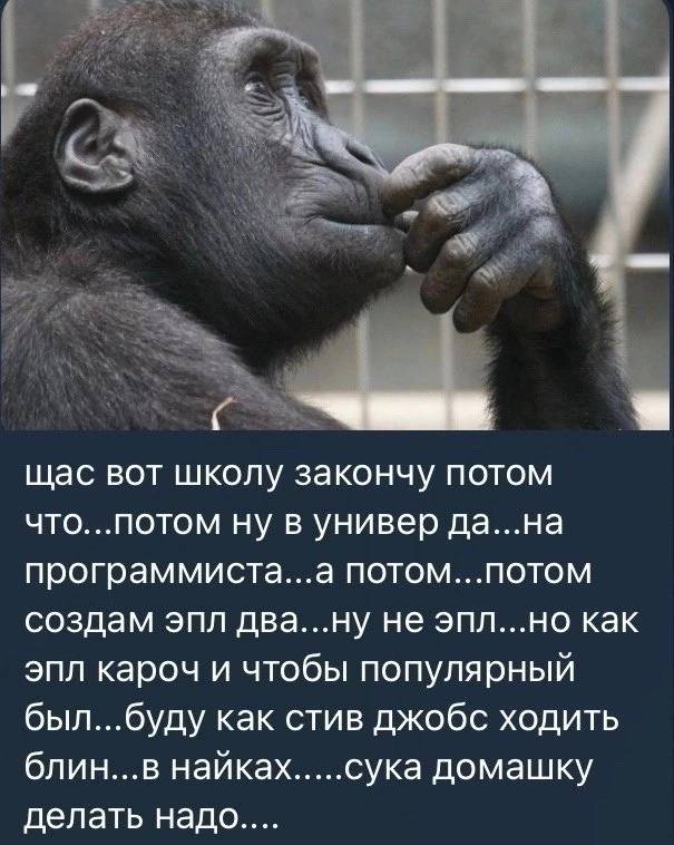 щас вот школу закончу потом что...потом ну в универ да...на программиста...а потом...потом создам эпл два...ну не эпл...но как эпл кароч и чтобы популярный был...буду как стив джобс ходить блин...в на