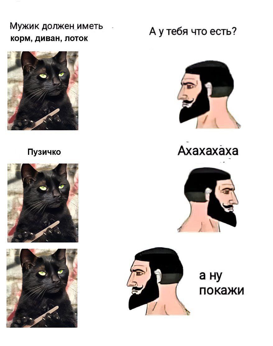 Мужи к должен иметь корм, диван, лоток А утебя что есть? Пузичко Ахахахаха a покажи