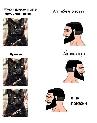 Мужи к должен иметь корм, диван, лоток А утебя что есть? Пузичко Ахахахаха a покажи