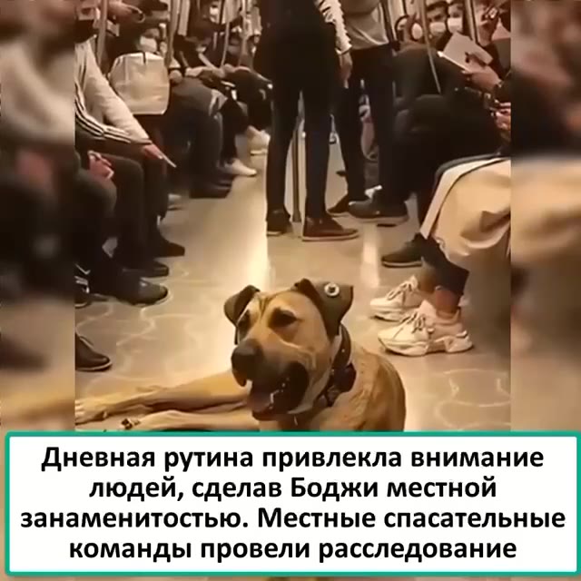 Приготовьтесь плакать.