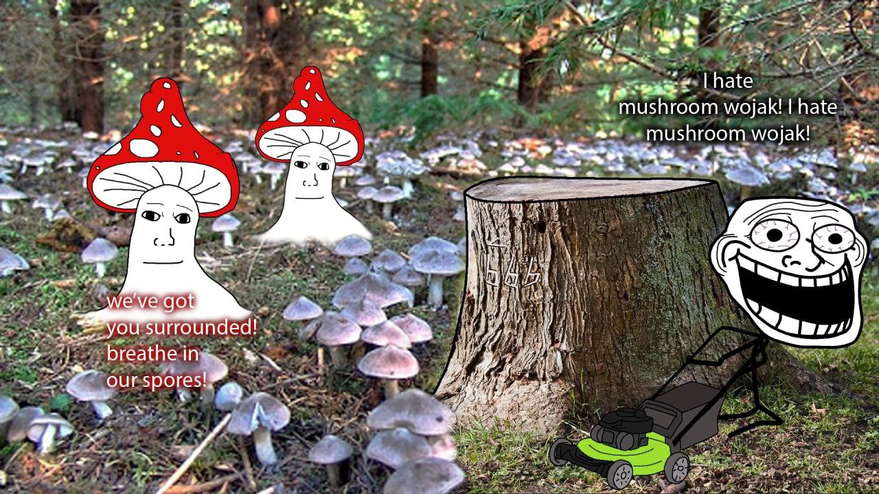 a’ ore а у у 6 у fal 4 hate mushroom wojak! hate mushroom мак! 1 7 с.) we've got surrounded! our spores! 3