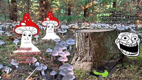 a’ ore а у у 6 у fal 4 hate mushroom wojak! hate mushroom мак! 1 7 с.) we've got surrounded! our spores! 3