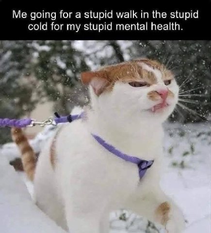Me going for a stupid walk in the stupid cold for my stupid mental health. 4