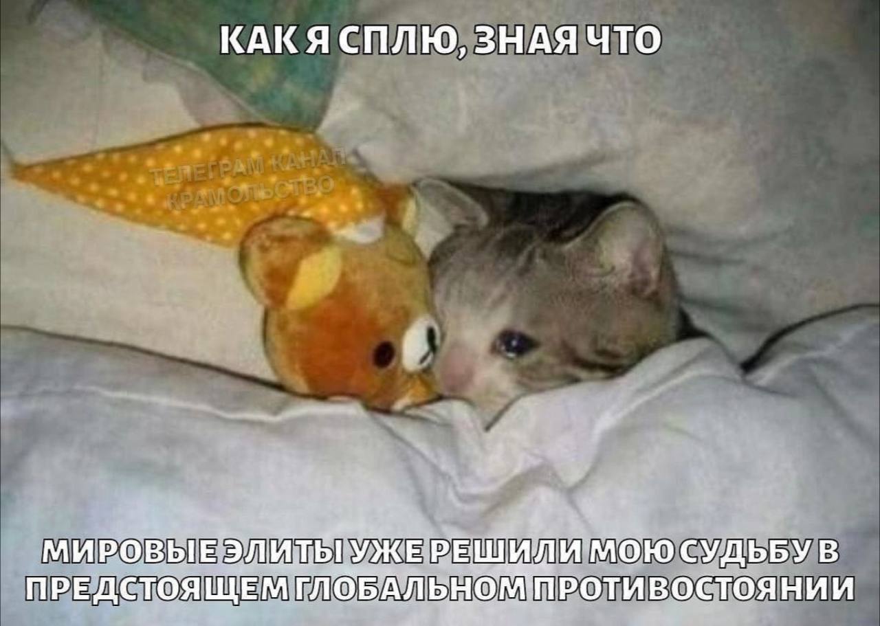 КАКЯСПЛЮ, ЗНАЯ ЧТО МИРОВЫ МОЮ СУДЬБУ В ПРЕДСТОЯЩЕМГЛОБАЛЬН ПРОТИВОСТОЯНИИ
