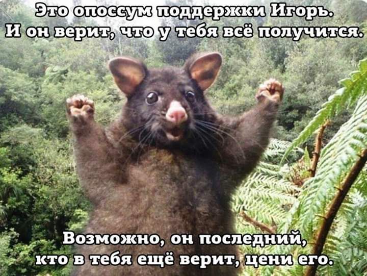TOJOTIOCCYM И он тебя всё получится. Pay Возможно, кто в тебя ещё