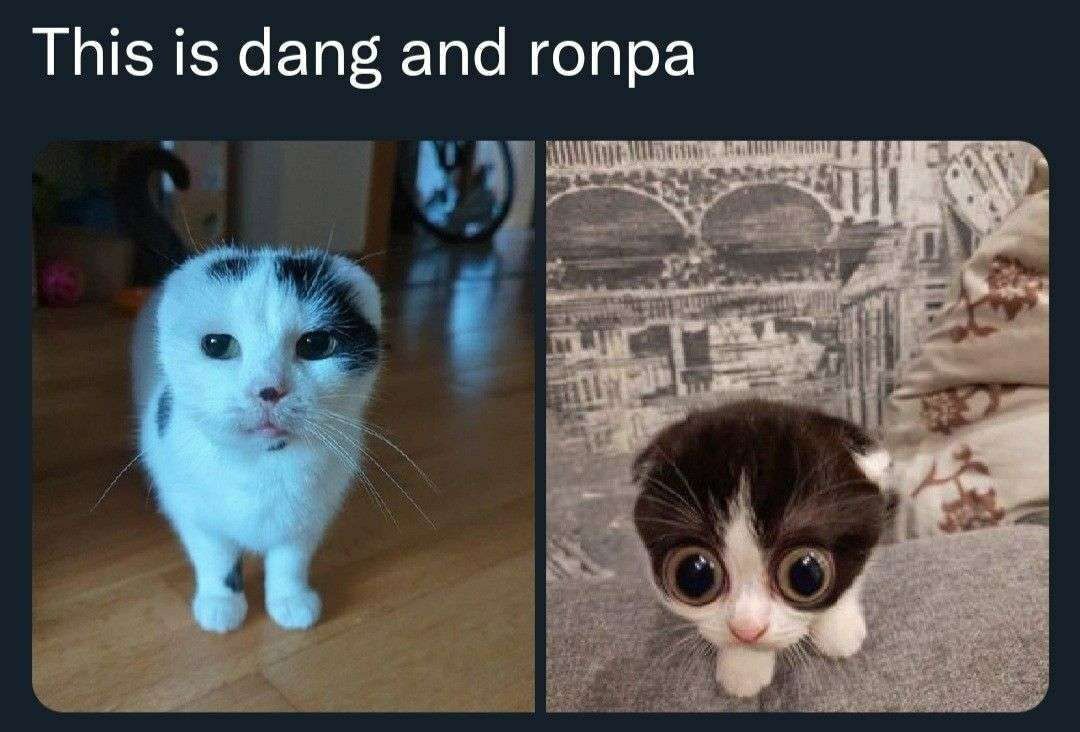 This is dang and гопра