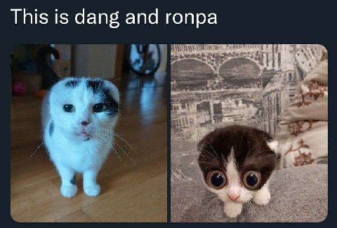This is dang and гопра