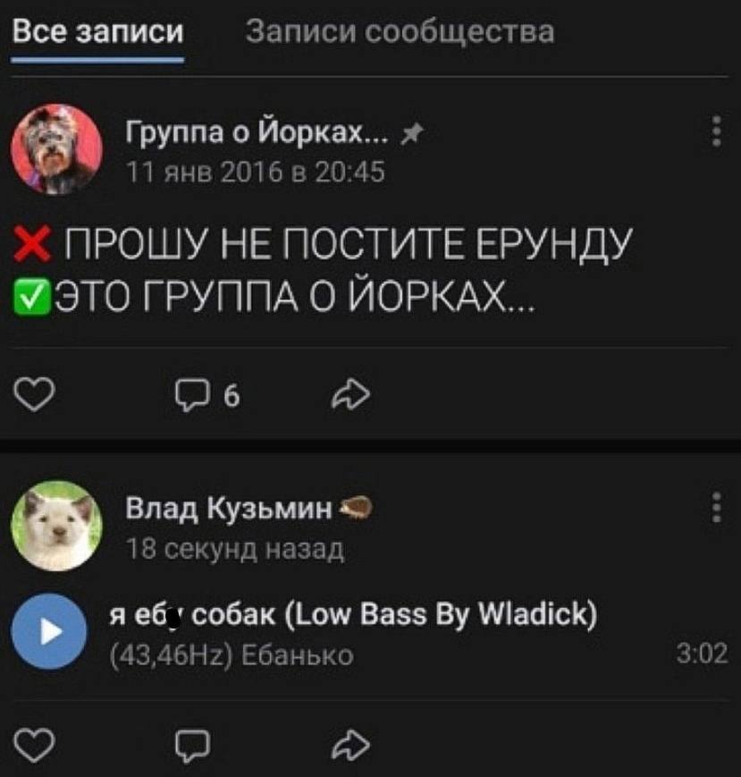Все записи Записи сообщества Группа о Йорках... a! 11 янв 2016 в 20:45 ПРОШУ НЕ ПОСТИТЕ ЕРУНДУ ГРУППА ЙОРКАХ... (26 Влад Кузьмин 18 секунд назад я собак (Low Bass Wladick) Ебанько 3:02 (2