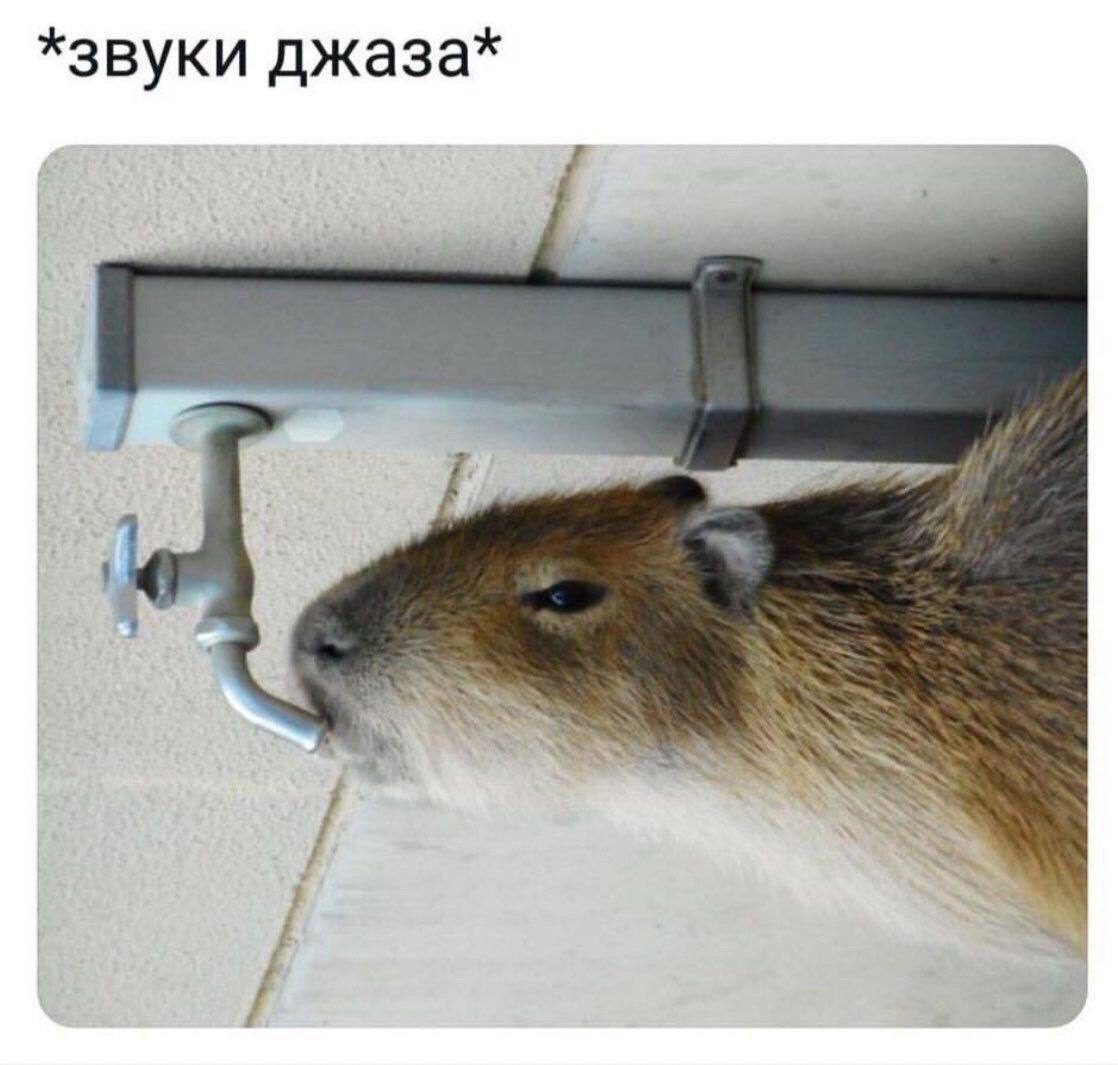 *звуки джаза*