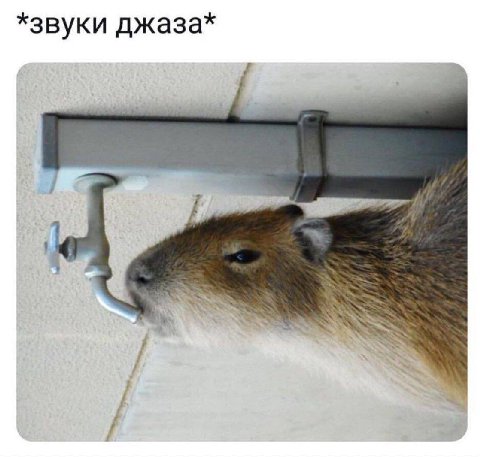 *звуки джаза*