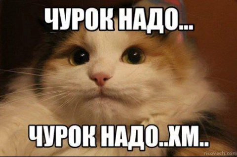 ЧУРОК НАДО... ЧУРОК НАДО..ХМ..
