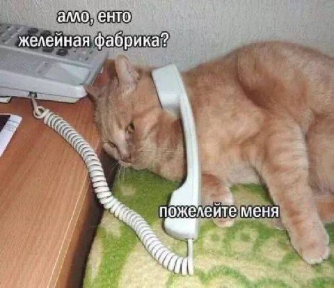 алло. енто желейная фабрика? пожелеите меня у 2