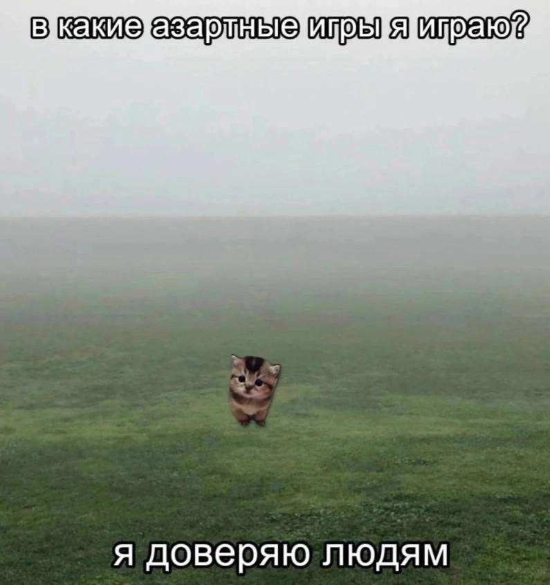 итраюй я доверяю людям