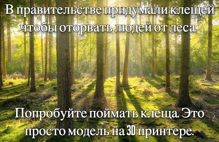 В правительстве Попробуйте поймать клеща. Это просто