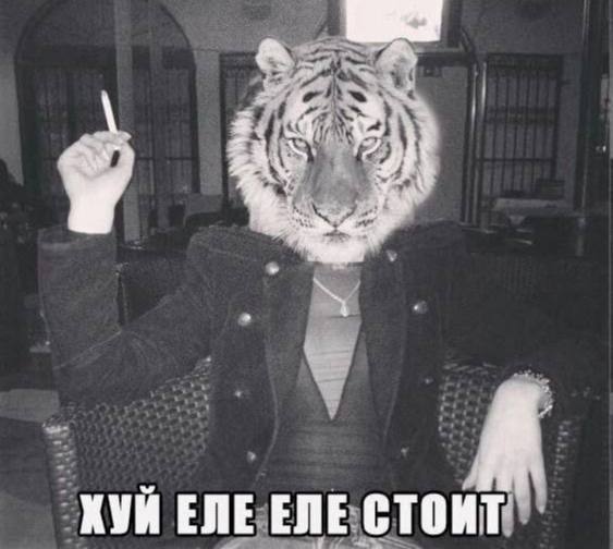 ХУИ ЕЛЕ ЕЛЕ СТОИТ