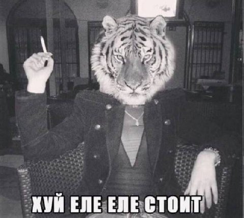 ХУИ ЕЛЕ ЕЛЕ СТОИТ