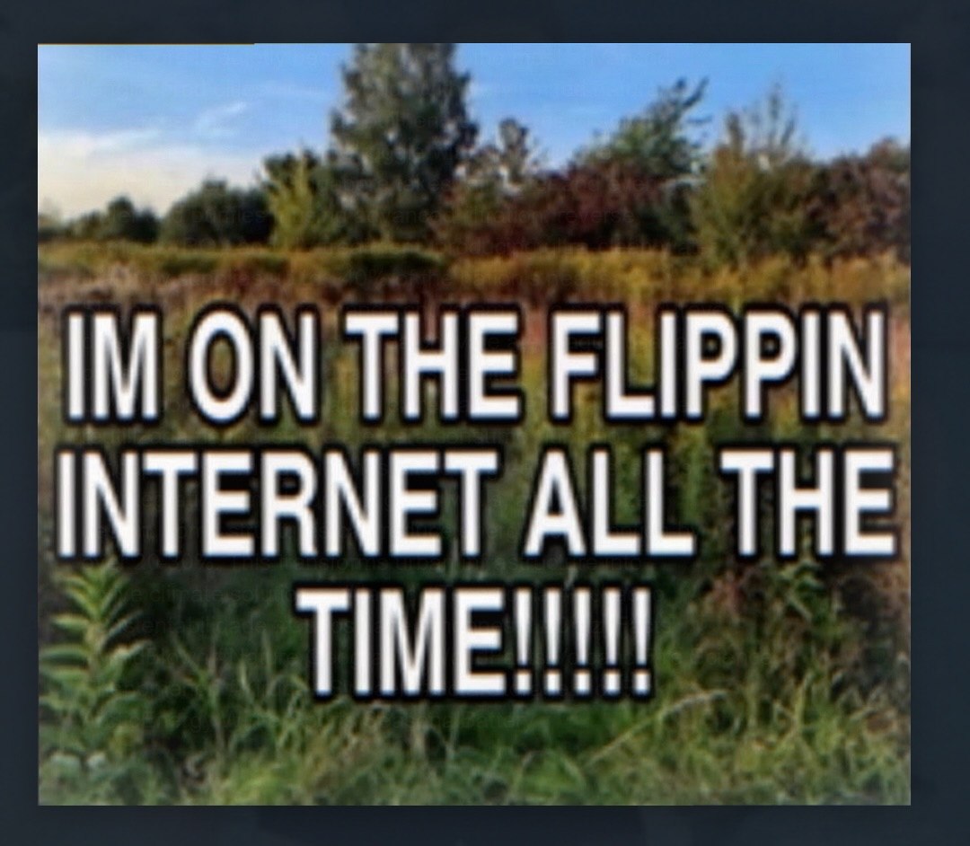 ON THE FLIPPIN INTERNET ALL THE