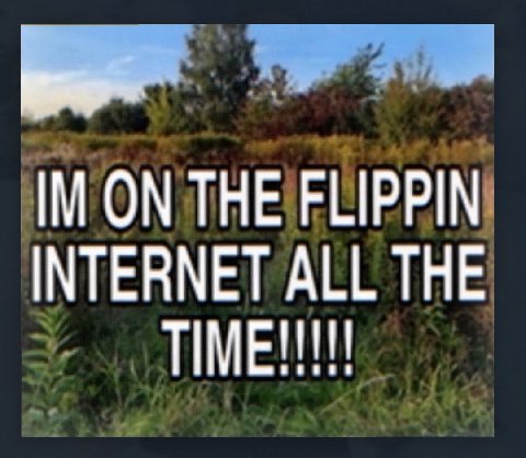 ON THE FLIPPIN INTERNET ALL THE