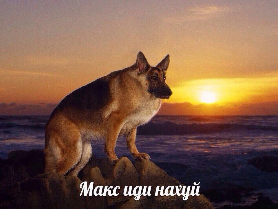 Макс иди