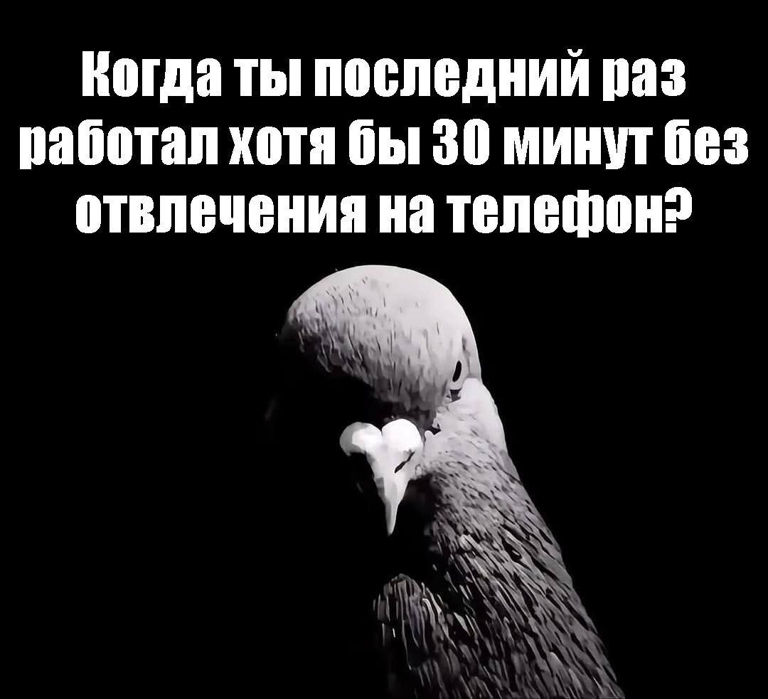 Когда ты последний раз работал хотя бы 30 минут без отвлечения на телефон?