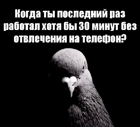 Когда ты последний раз работал хотя бы 30 минут без отвлечения на телефон?