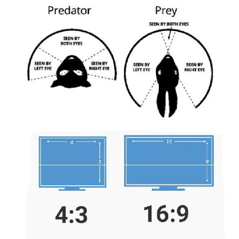 Predator Prey SEEN BOTH EYES BOTH EVES SEEN SEEN SEEN SEEN SEEN LEFT EYE RIGHT EYE LEFT EYE RIGHT EYE 4:3 16:9