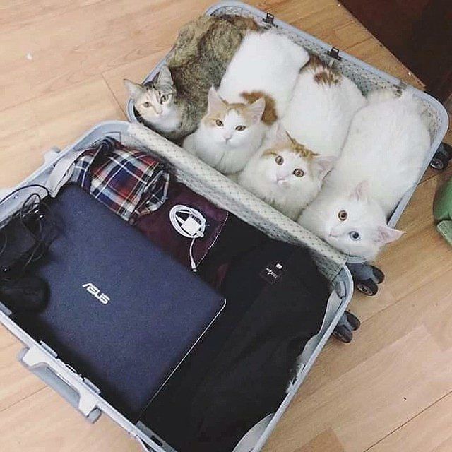 1 Я у a a В и