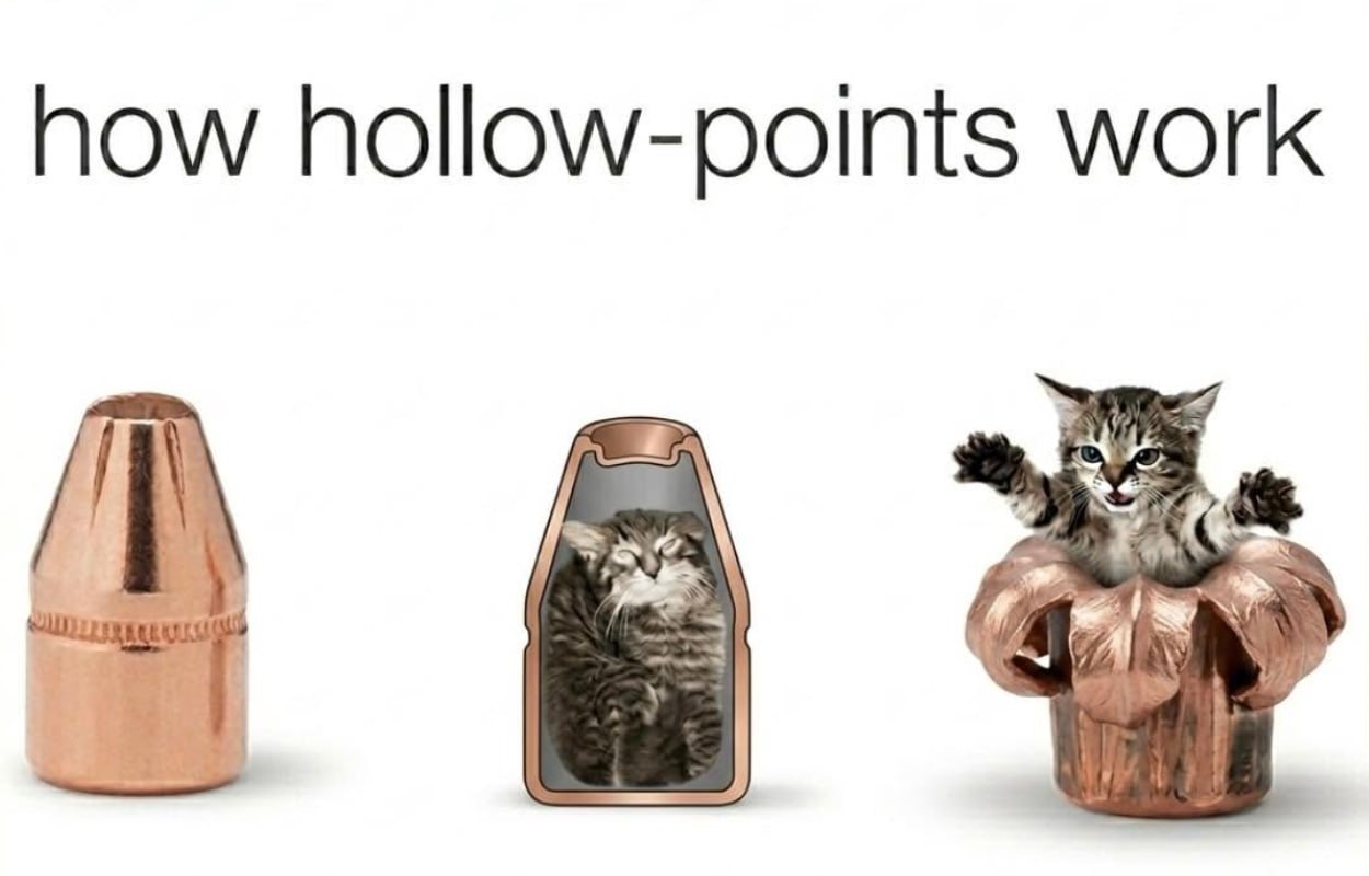 how hollow-points work