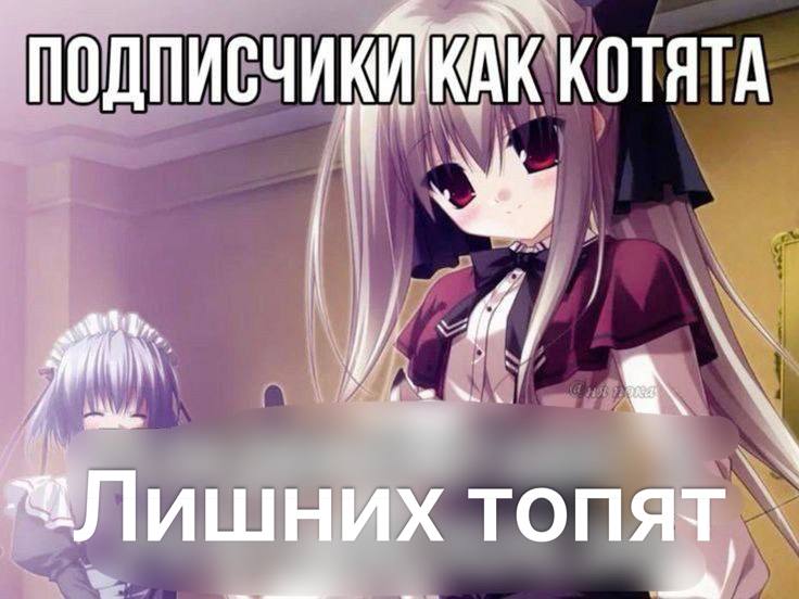 0 ДПИСЧИКИ КОТЯТА