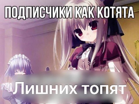 0 ДПИСЧИКИ КОТЯТА