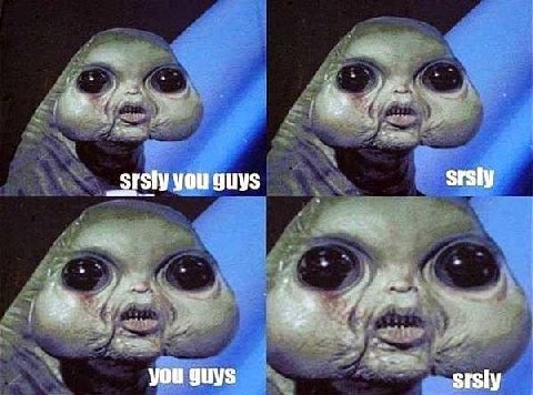 _srsly you guys srsly у.: you srsly