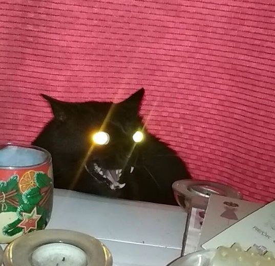 1 у 7