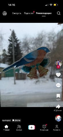 14:16 LIVE Смотреть Подписки Рекомендации О 2 4 1 7: 41,8 тыс. ramzst Фото о A Главная Друзья Входящие Профиль