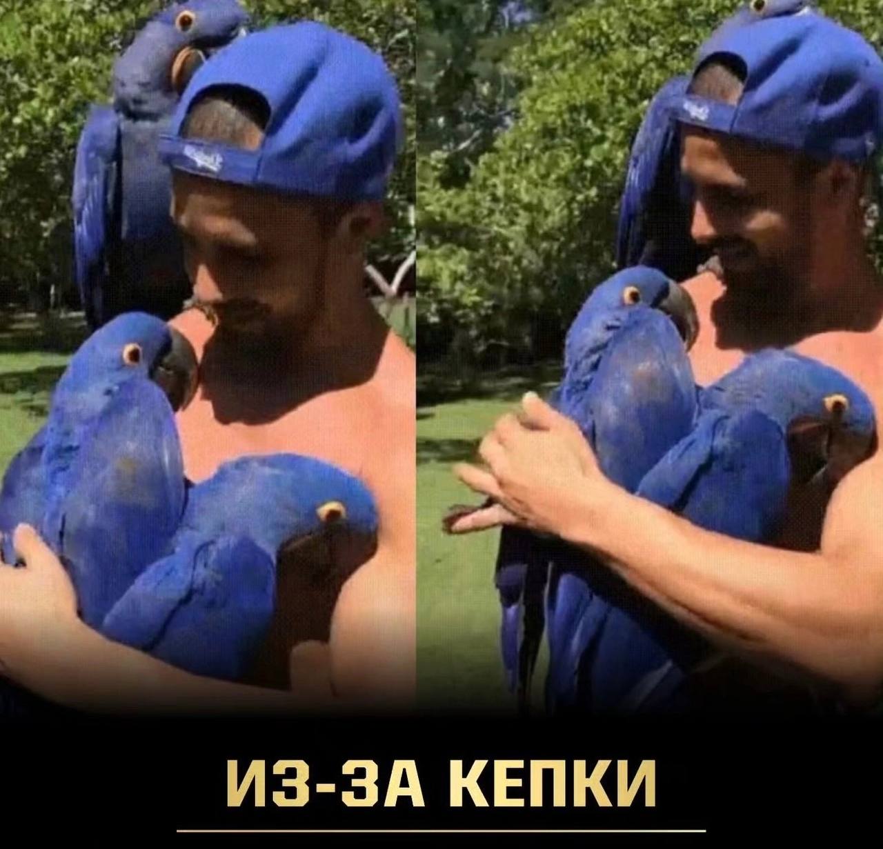 ИЗ-ЗА КЕПКИ