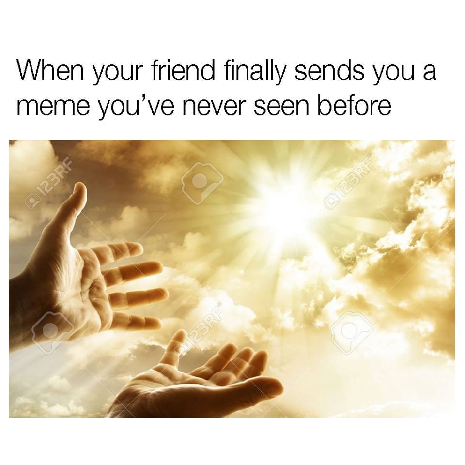 When your friend finally sends you a meme never seen before