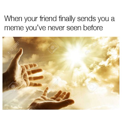 When your friend finally sends you a meme never seen before