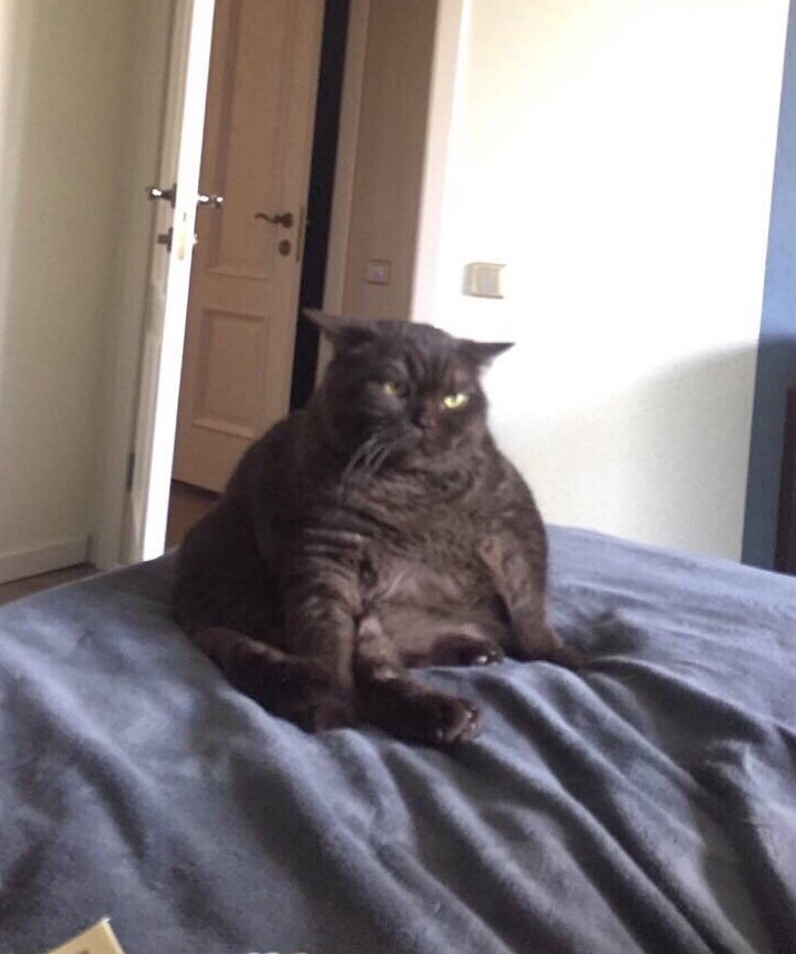 a?