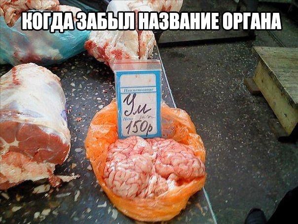мы A 3 ВАНИЕ ОРГАНА