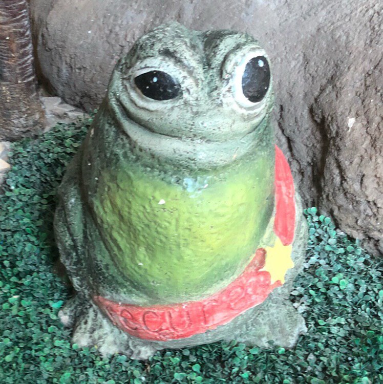 It's Wednesday my dudes