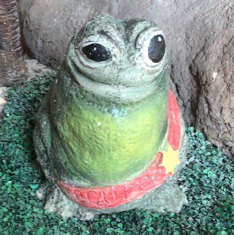 It's Wednesday my dudes