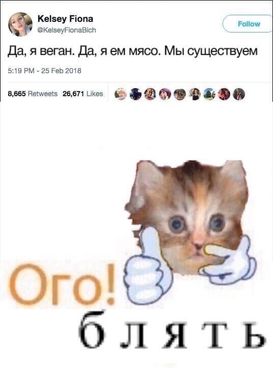 Kelsey Fiona Follow @KelseyFionaBich Да, я Beran. Да, я мясо. Мы существуем 5:19 25 Feb 2018 8,665 26,671Likcs 6 Oro блять