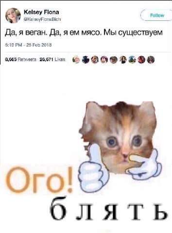Kelsey Fiona Follow @KelseyFionaBich Да, я Beran. Да, я мясо. Мы существуем 5:19 25 Feb 2018 8,665 26,671Likcs 6 Oro блять